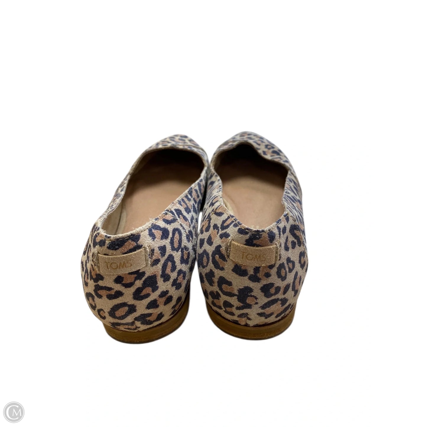 Shoes Flats By Toms In Animal Print, Size: 9.5