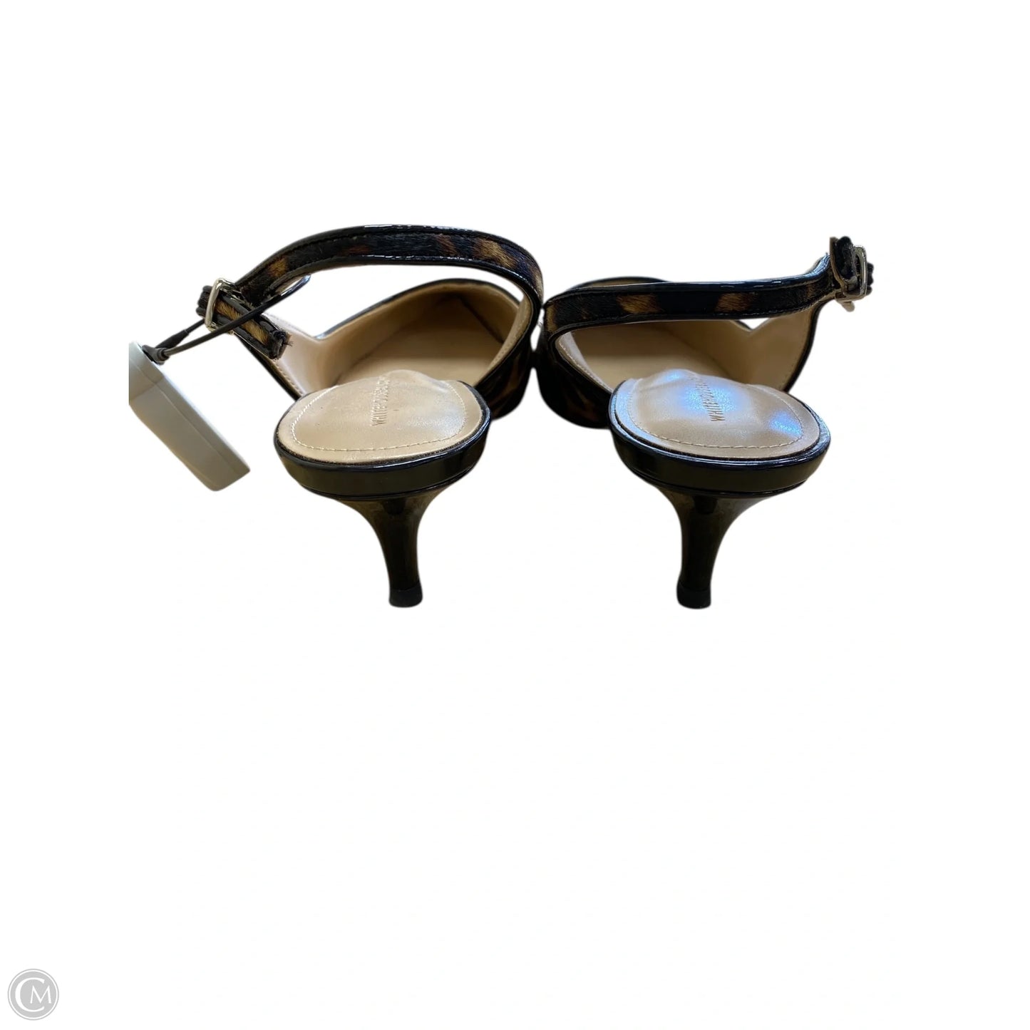 Shoes Heels Kitten By White House Black Market In Animal Print, Size: 5