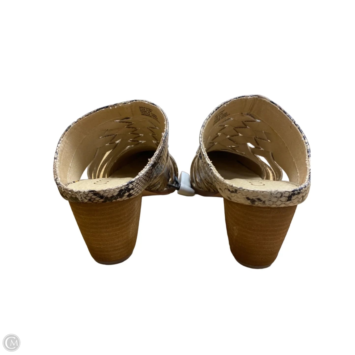Shoes Heels Block By Coconuts In Snakeskin Print, Size: 8.5