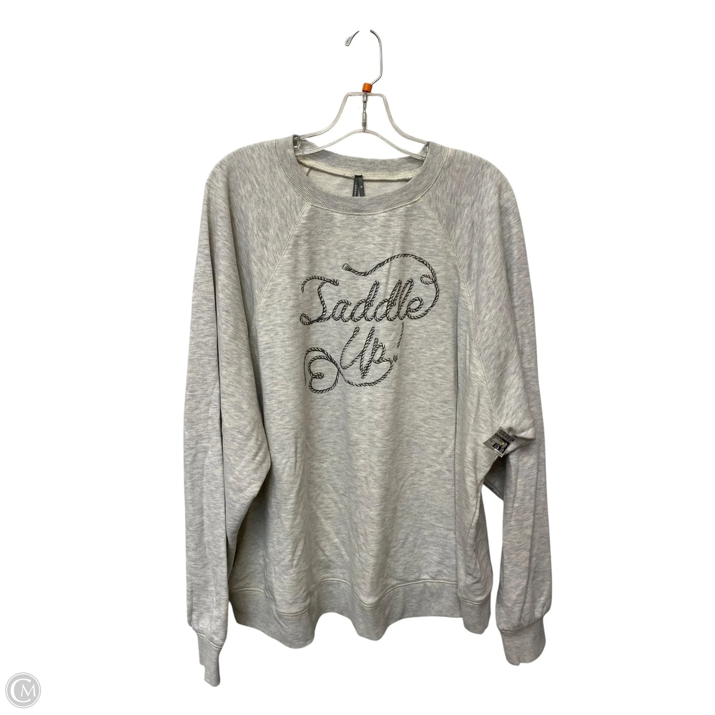 Sweatshirt Crewneck By Anthropologie In Grey, Size: 2x