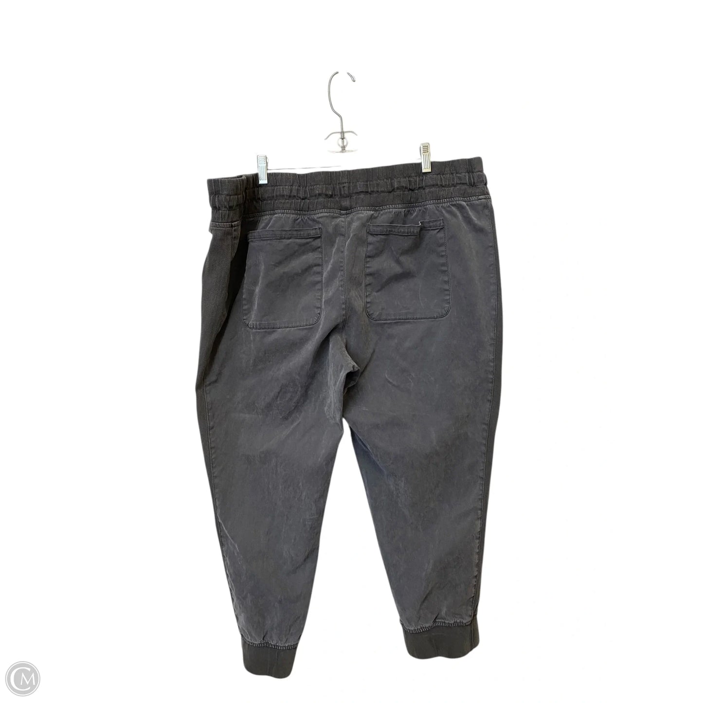 Pants Other By Time And Tru In Grey, Size: 20