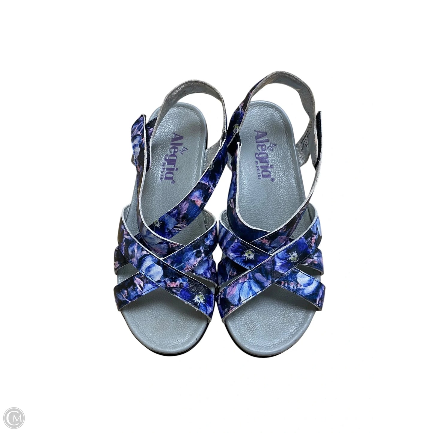 Sandals Flats By Alegria In Blue & Purple, Size: 6