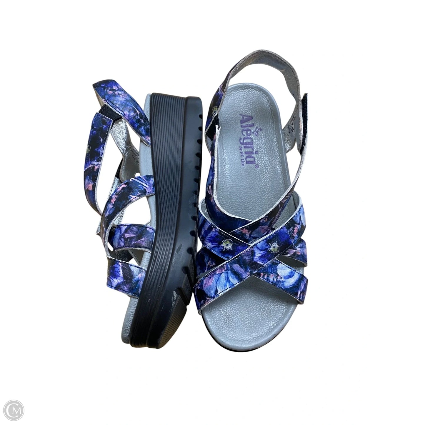 Sandals Flats By Alegria In Blue & Purple, Size: 6