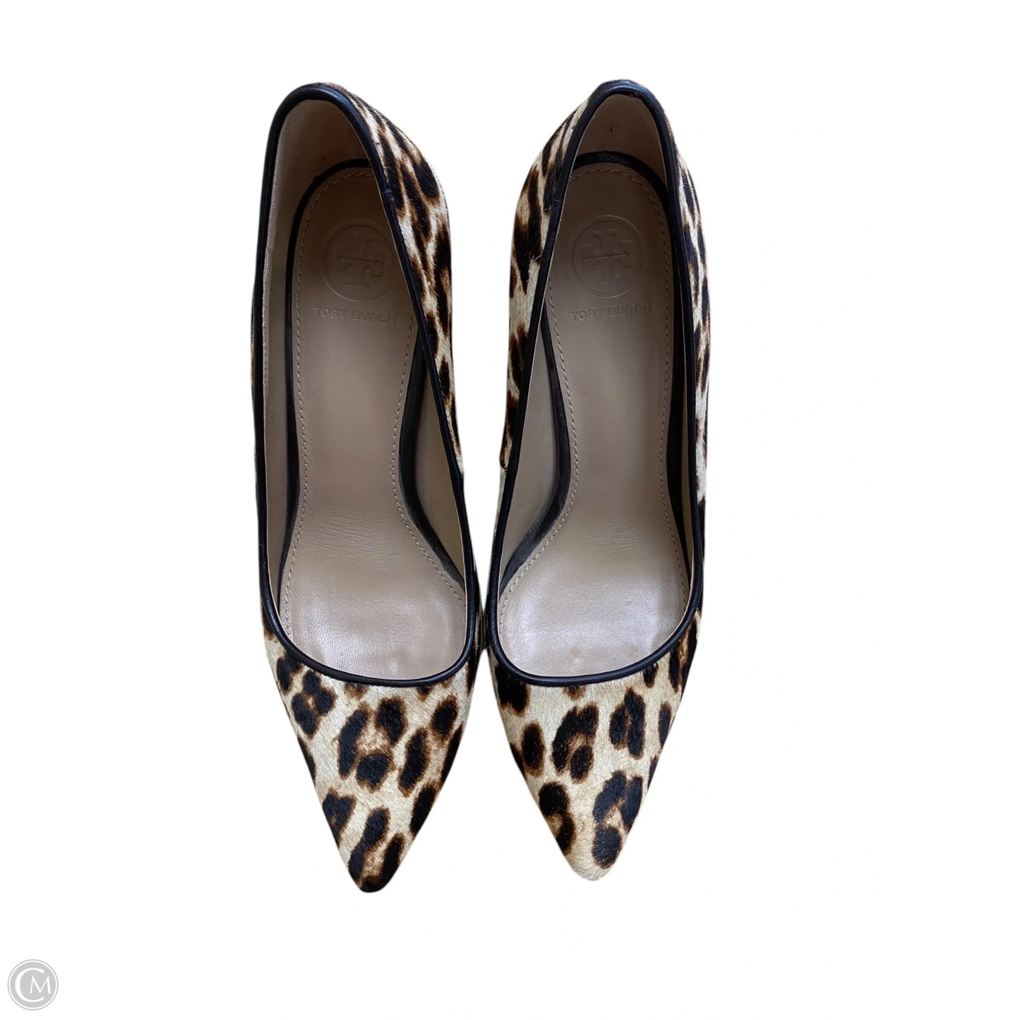 Shoes Designer By Tory Burch In Animal Print, Size: 7