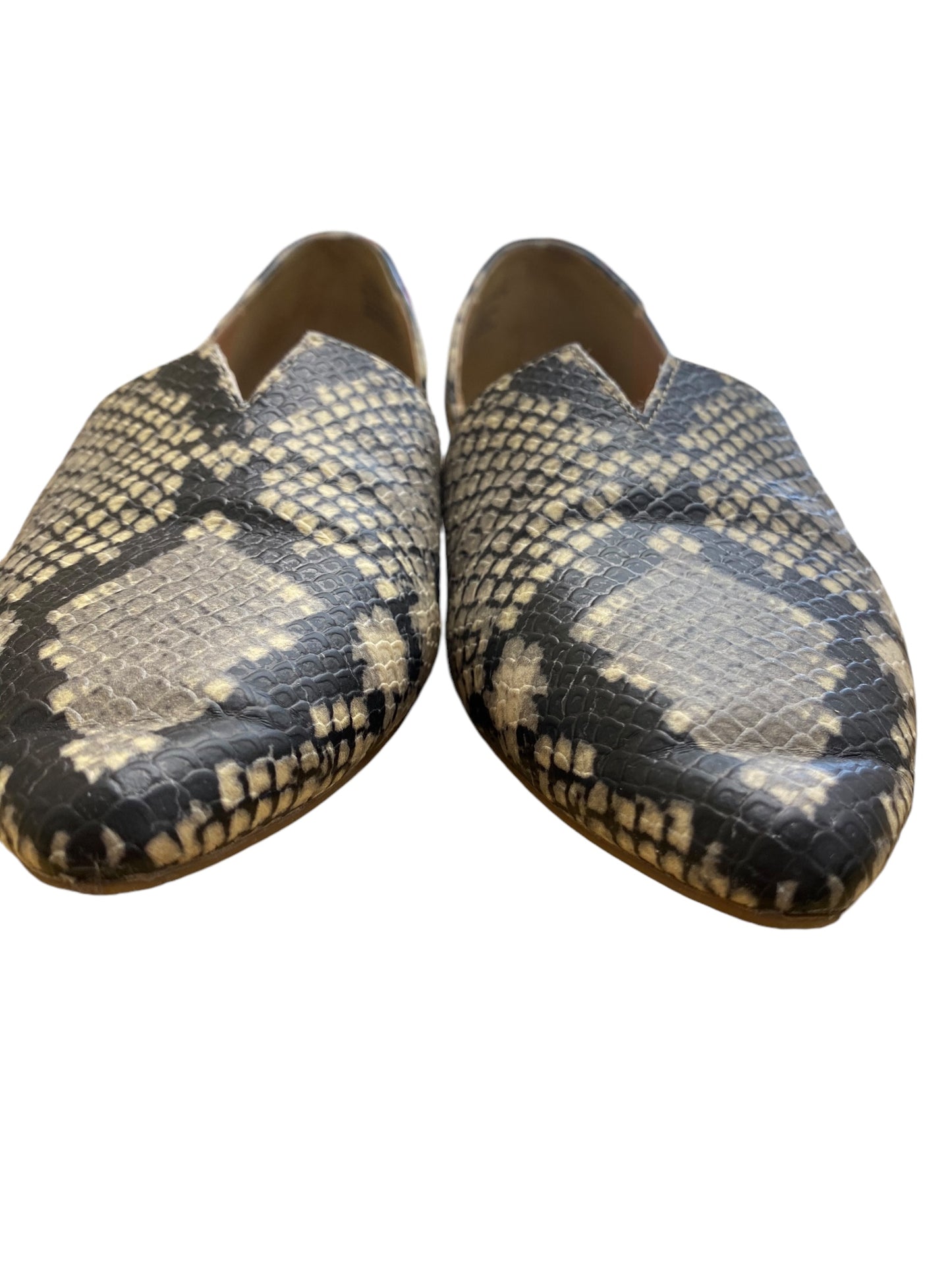 Shoes Flats By Steve Madden In Snakeskin Print, Size: 6