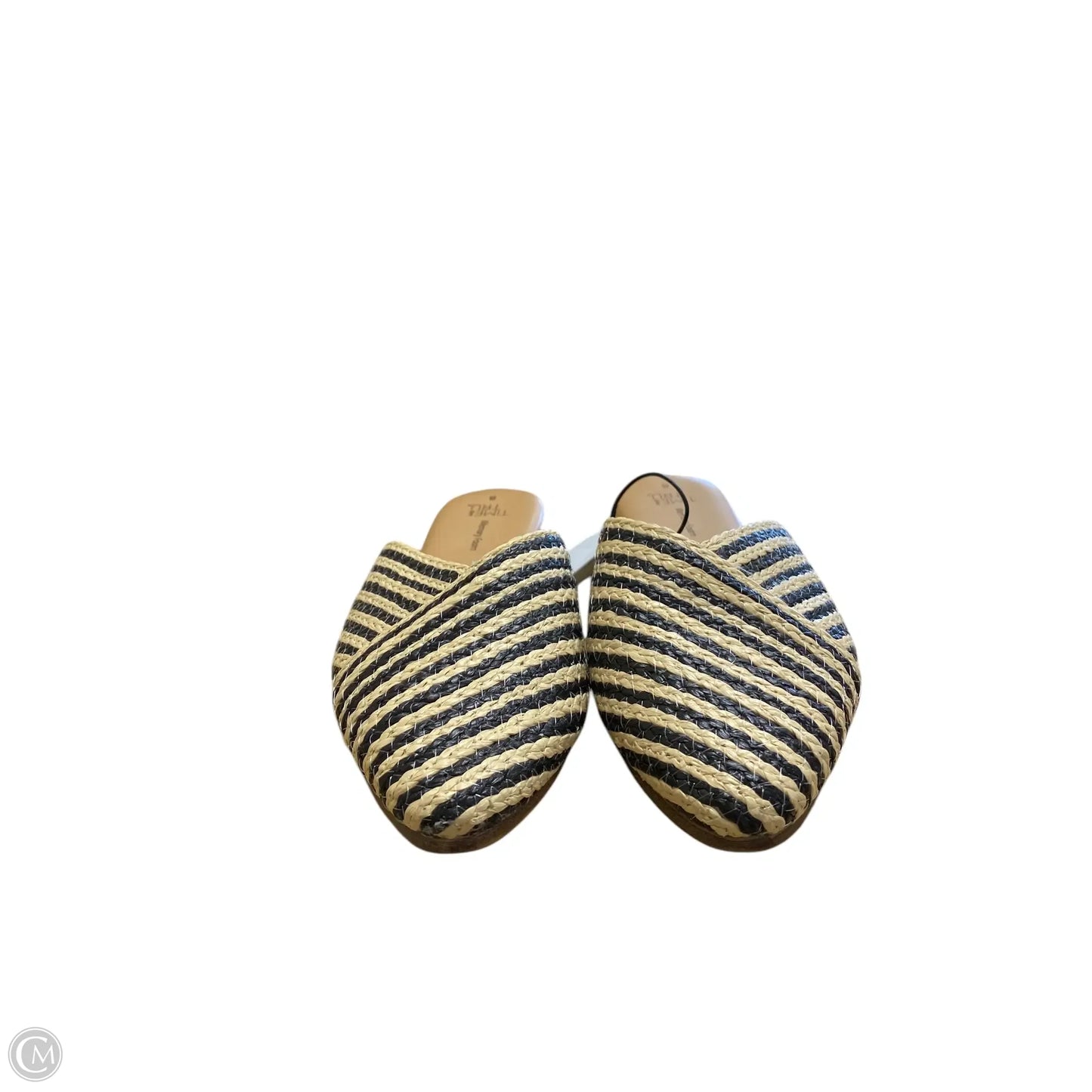 Shoes Flats By Time And Tru In Striped Pattern, Size: 8