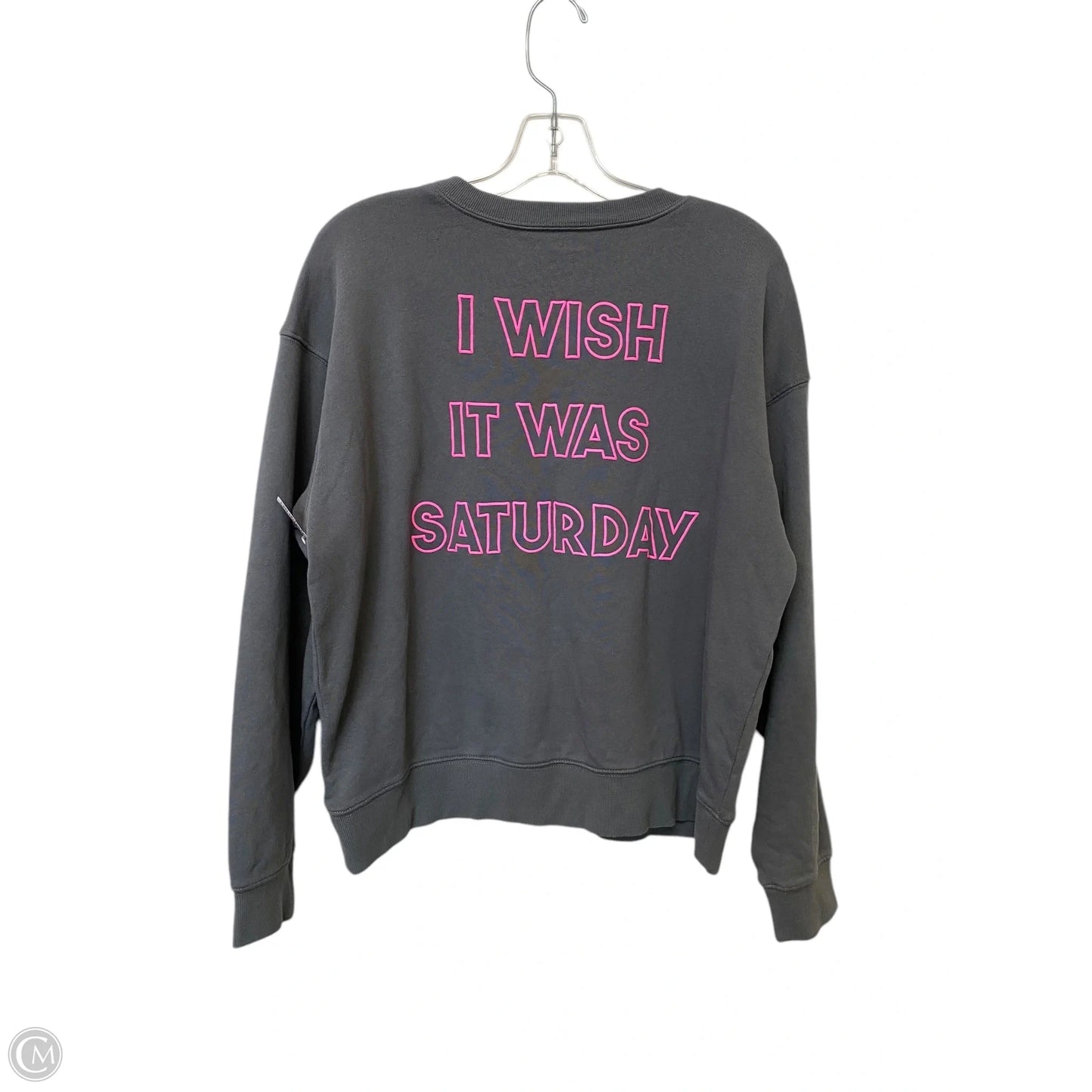 Sweatshirt Crewneck By Wildfox In Grey, Size: M