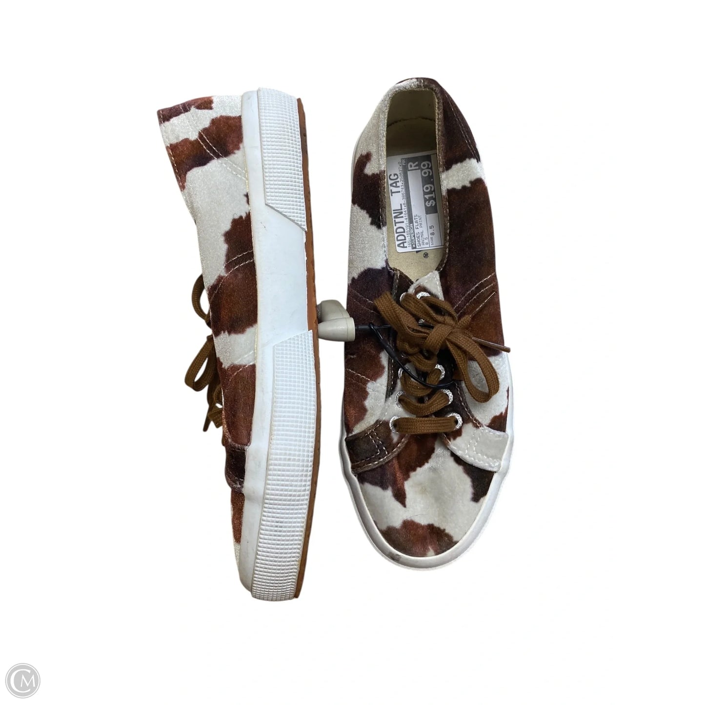 Shoes Flats By Superga In Animal Print, Size: 8.5
