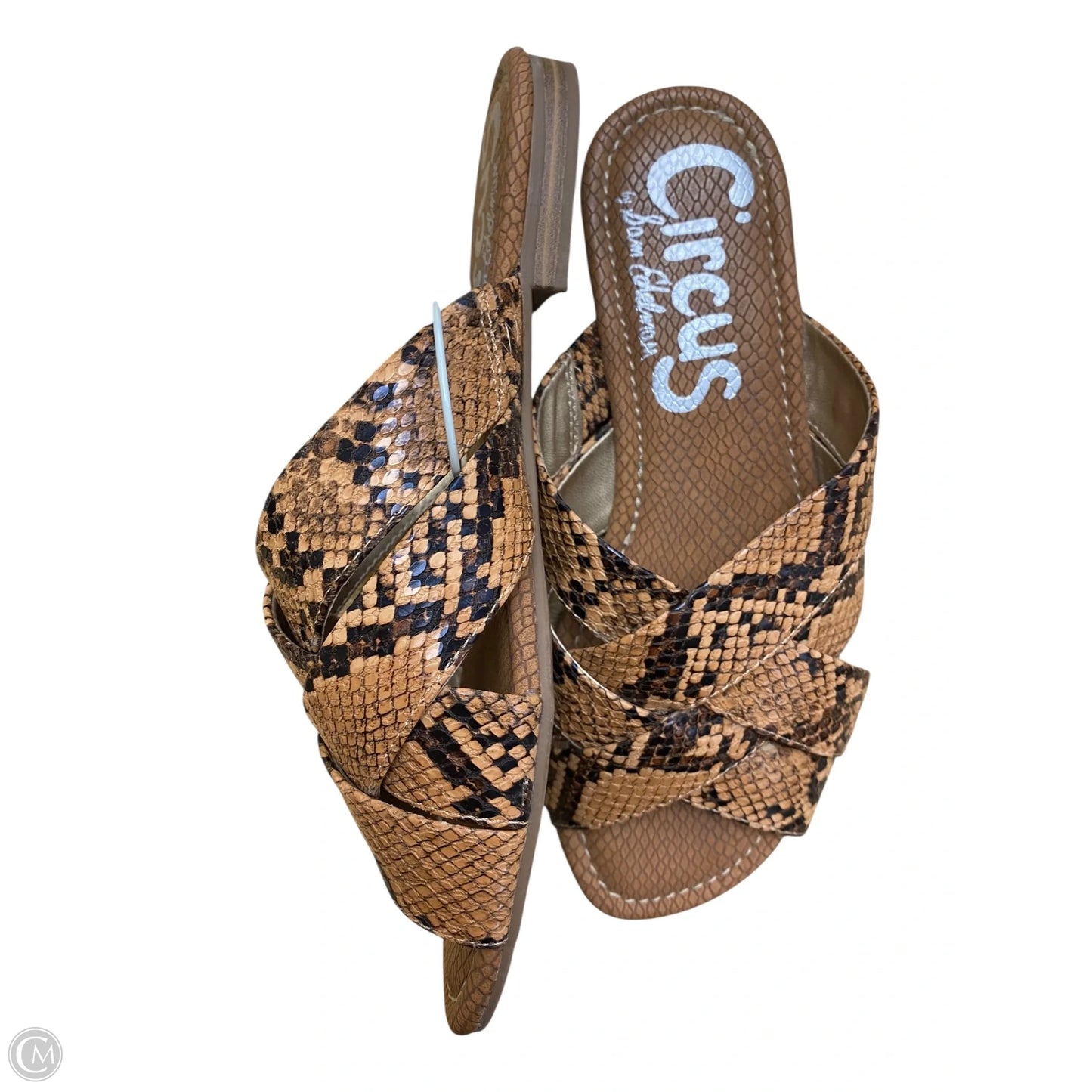 Sandals Flats By Circus By Sam Edelman In Snakeskin Print, Size: 5.5