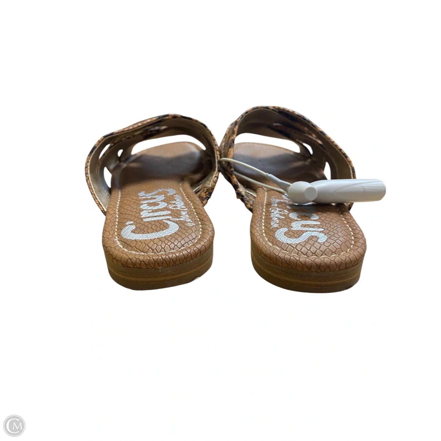 Sandals Flats By Circus By Sam Edelman In Snakeskin Print, Size: 5.5