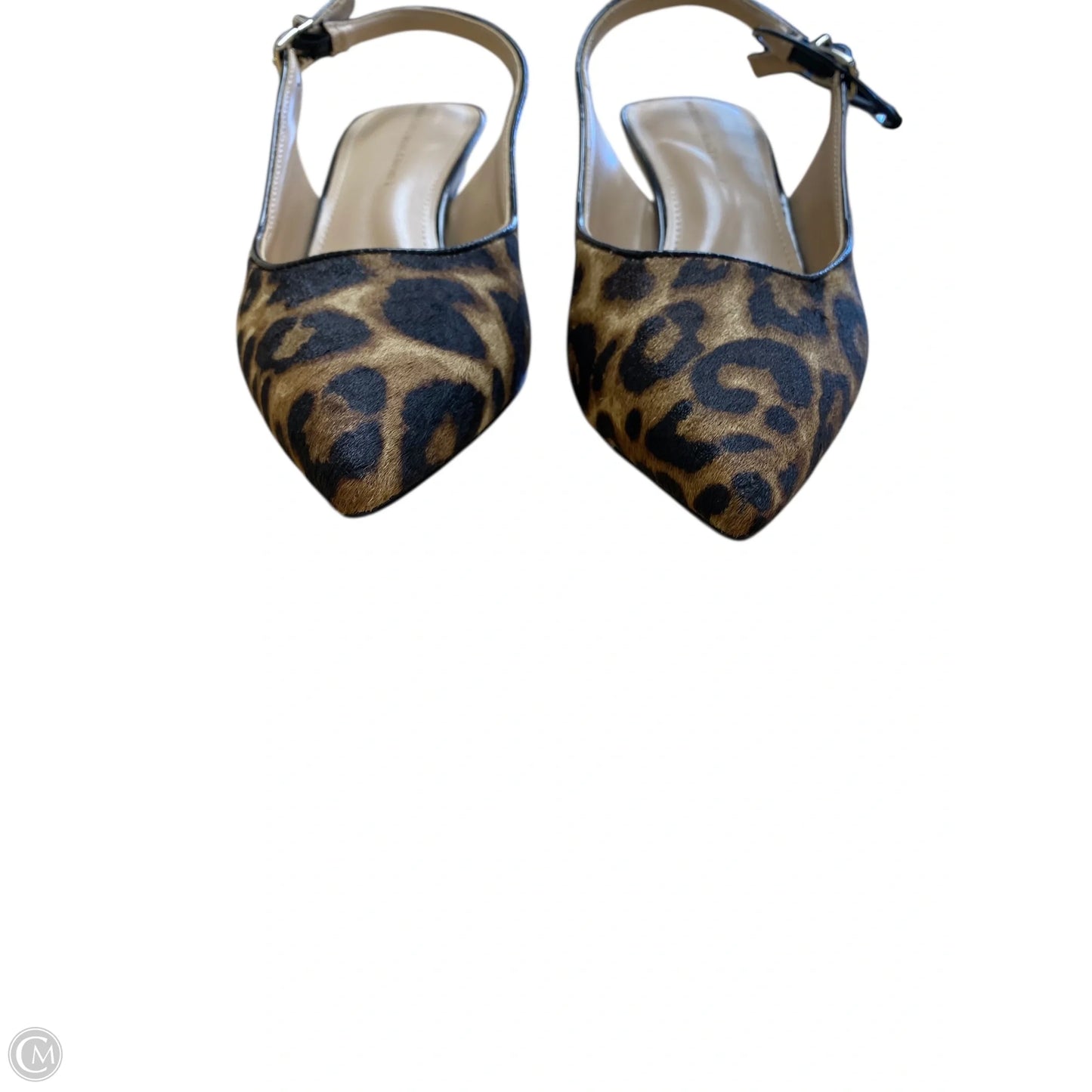 Shoes Heels Kitten By White House Black Market In Animal Print, Size: 5