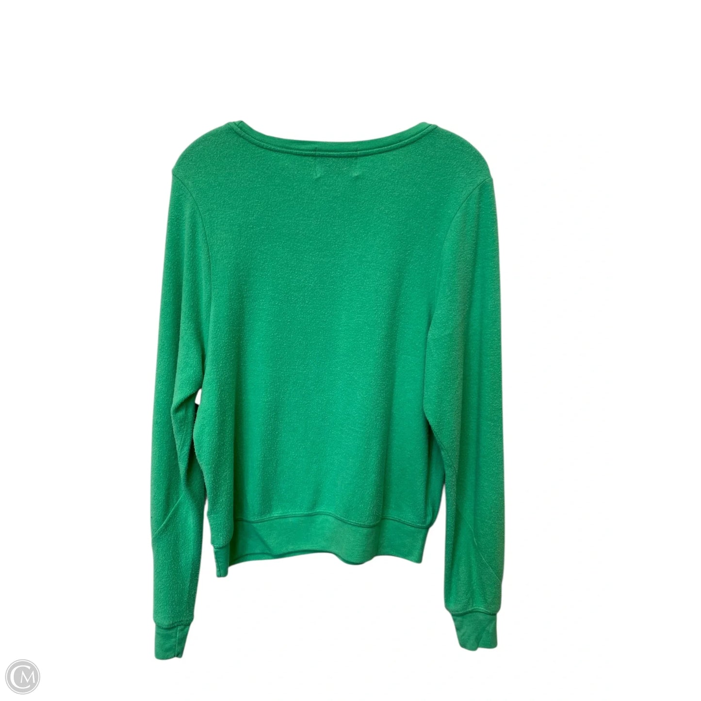 Sweatshirt Crewneck By Wildfox In Green, Size: Xs