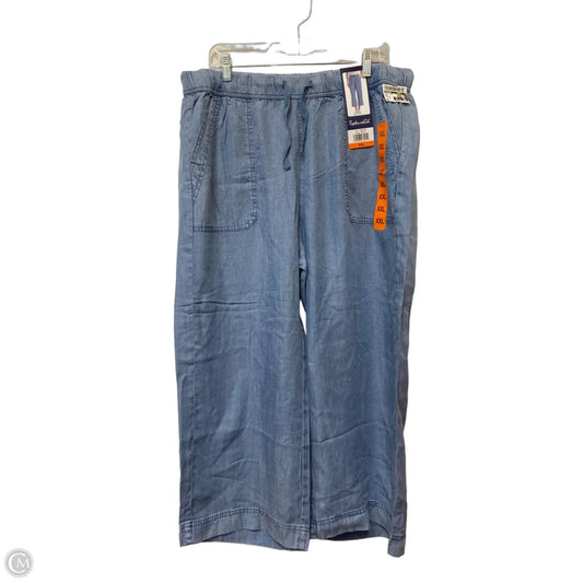 Pants Other By Splendid In Blue, Size: Xxl
