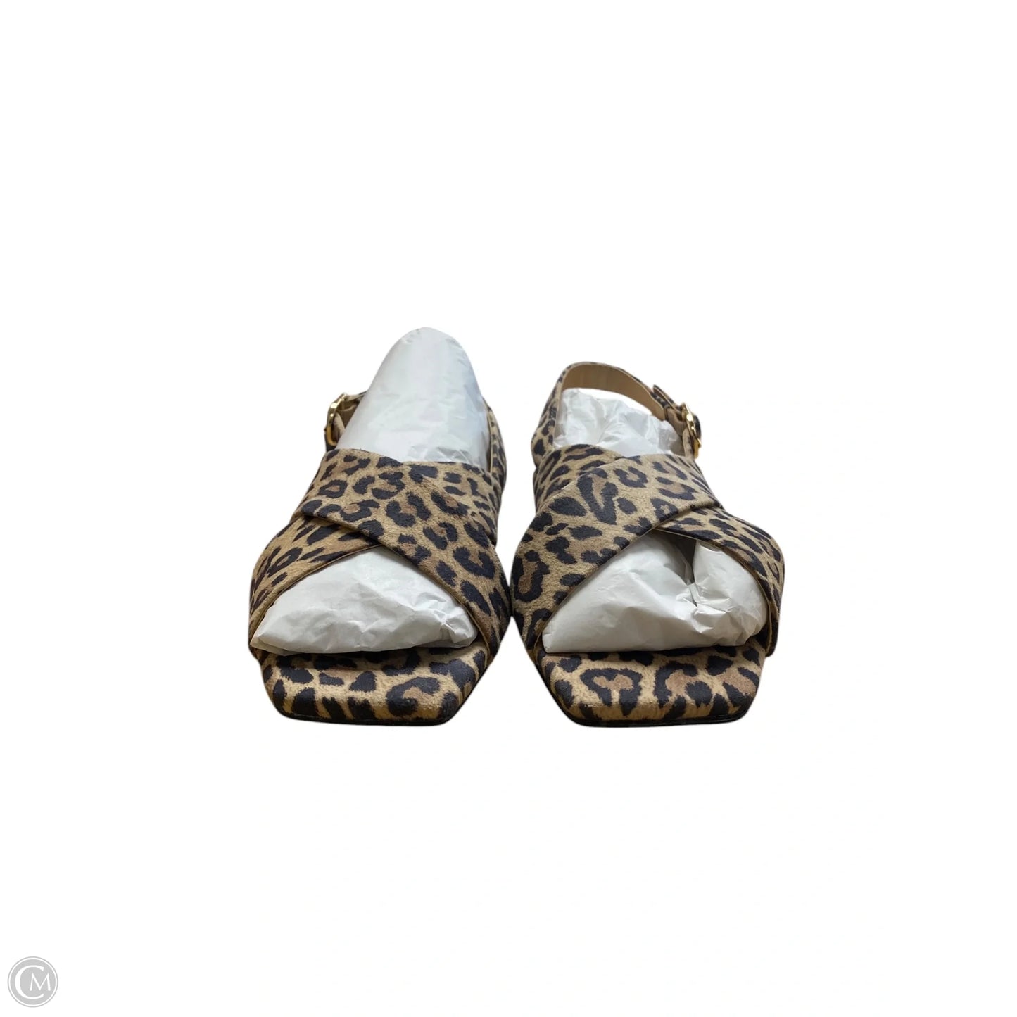 Shoes Heels Block By Maeve In Animal Print, Size: 6