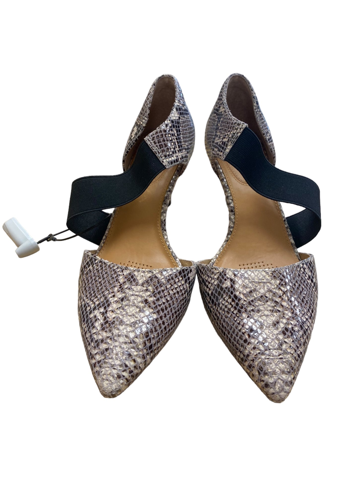 Snakeskin Print Shoes Heels Kitten Corso Como, Size 7.5