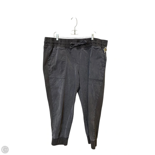 Pants Other By Time And Tru In Grey, Size: 20