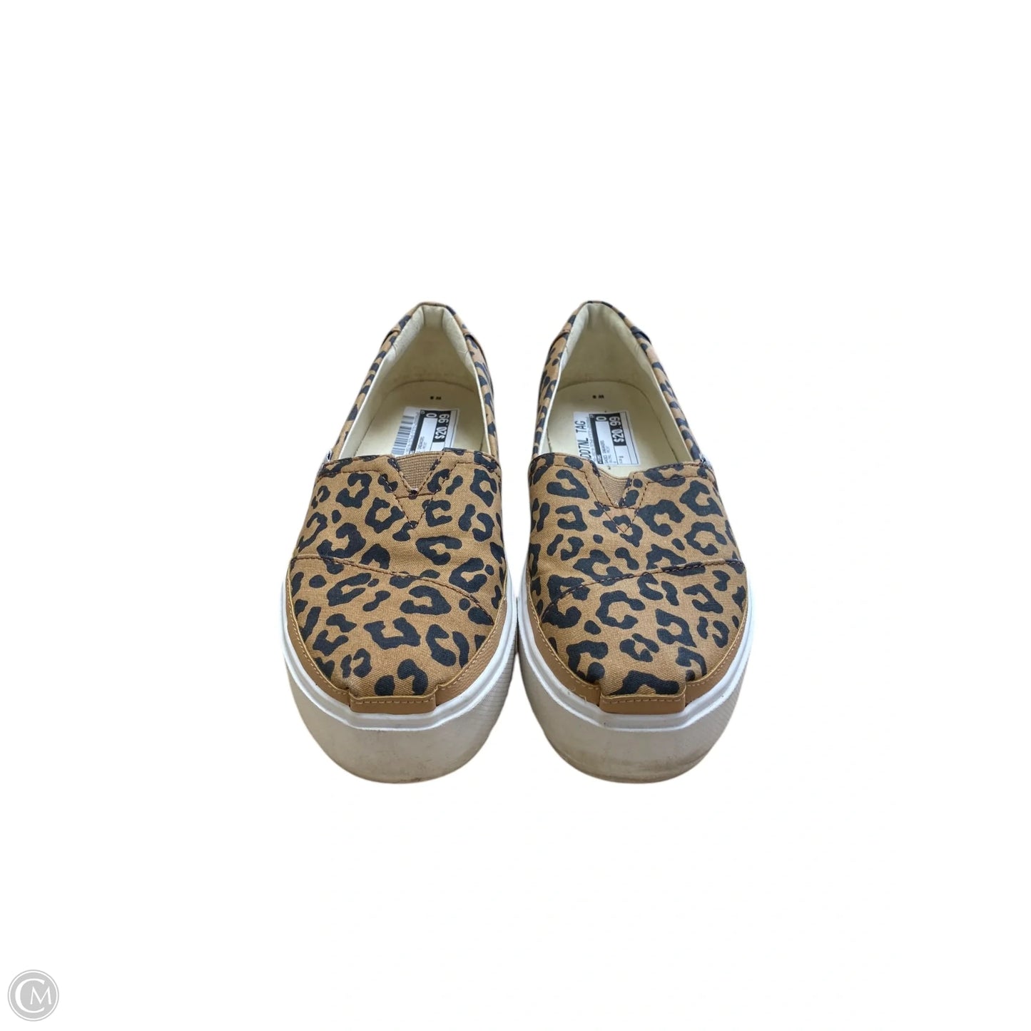 Shoes Sneakers By Toms In Animal Print, Size: 8
