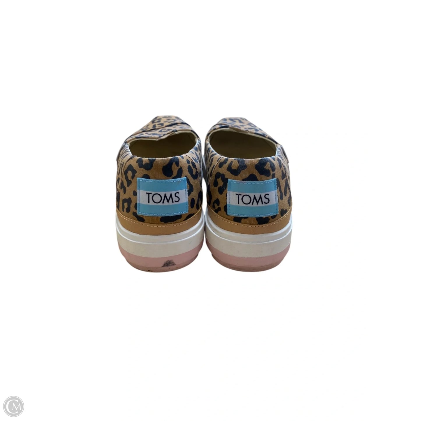 Shoes Sneakers By Toms In Animal Print, Size: 8