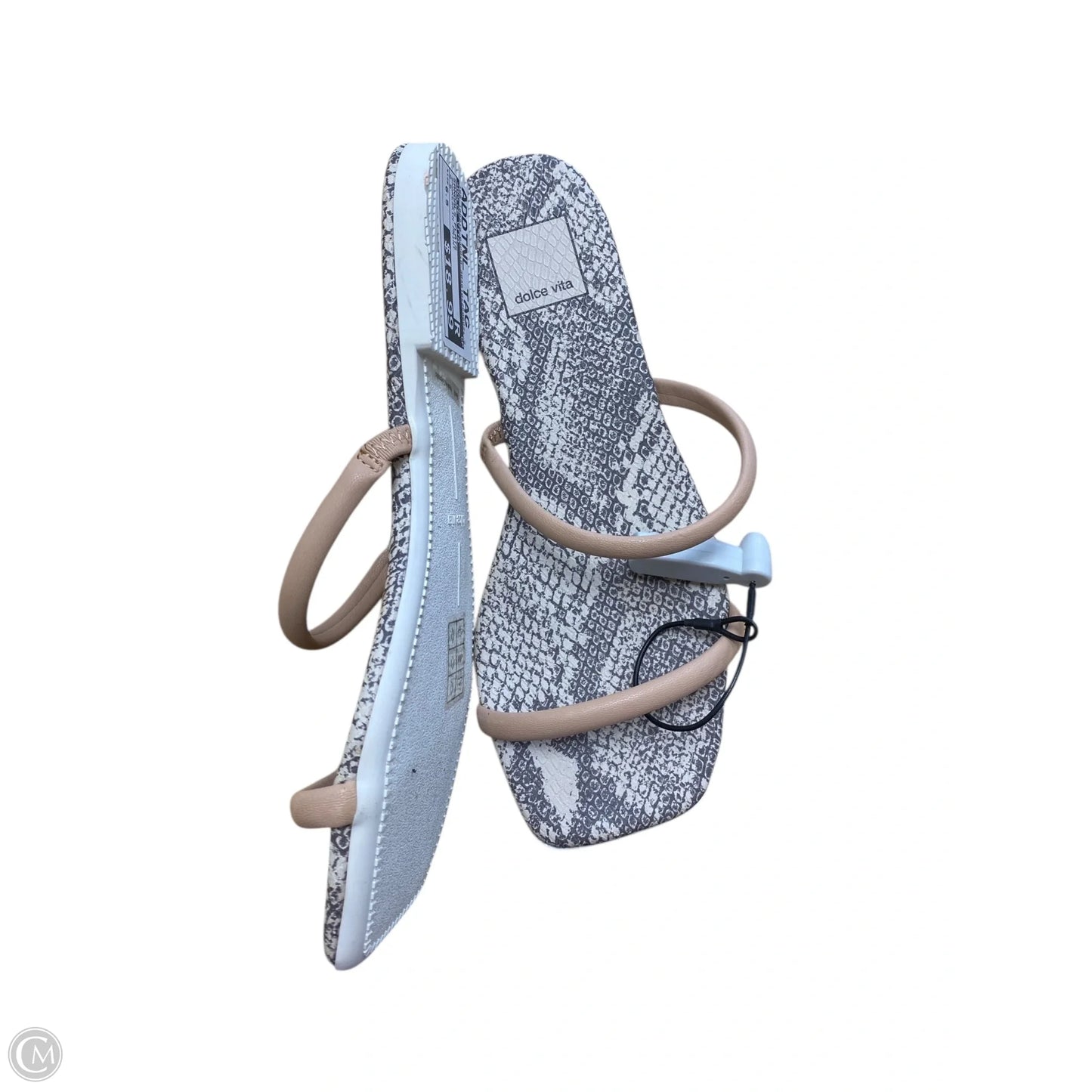 Sandals Flats By Dolce Vita In Snakeskin Print, Size: 6.5