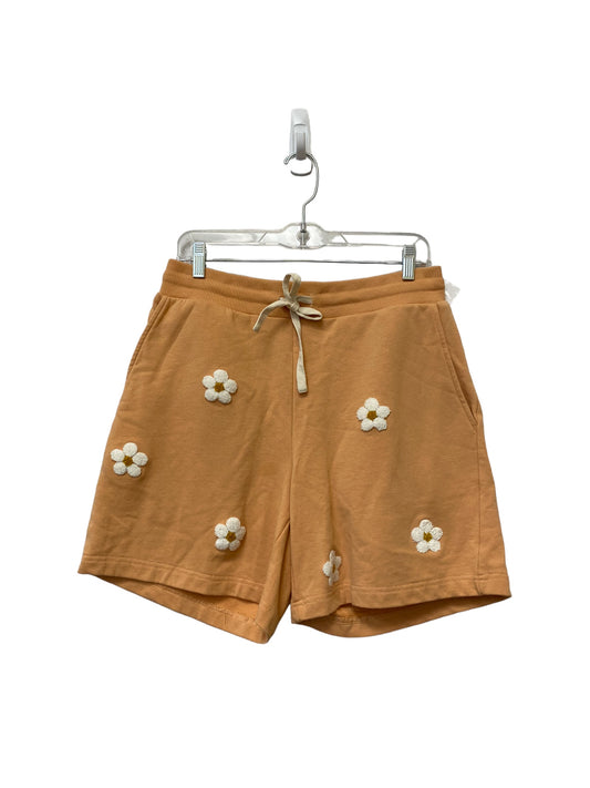 Shorts By Current Air  Size: L