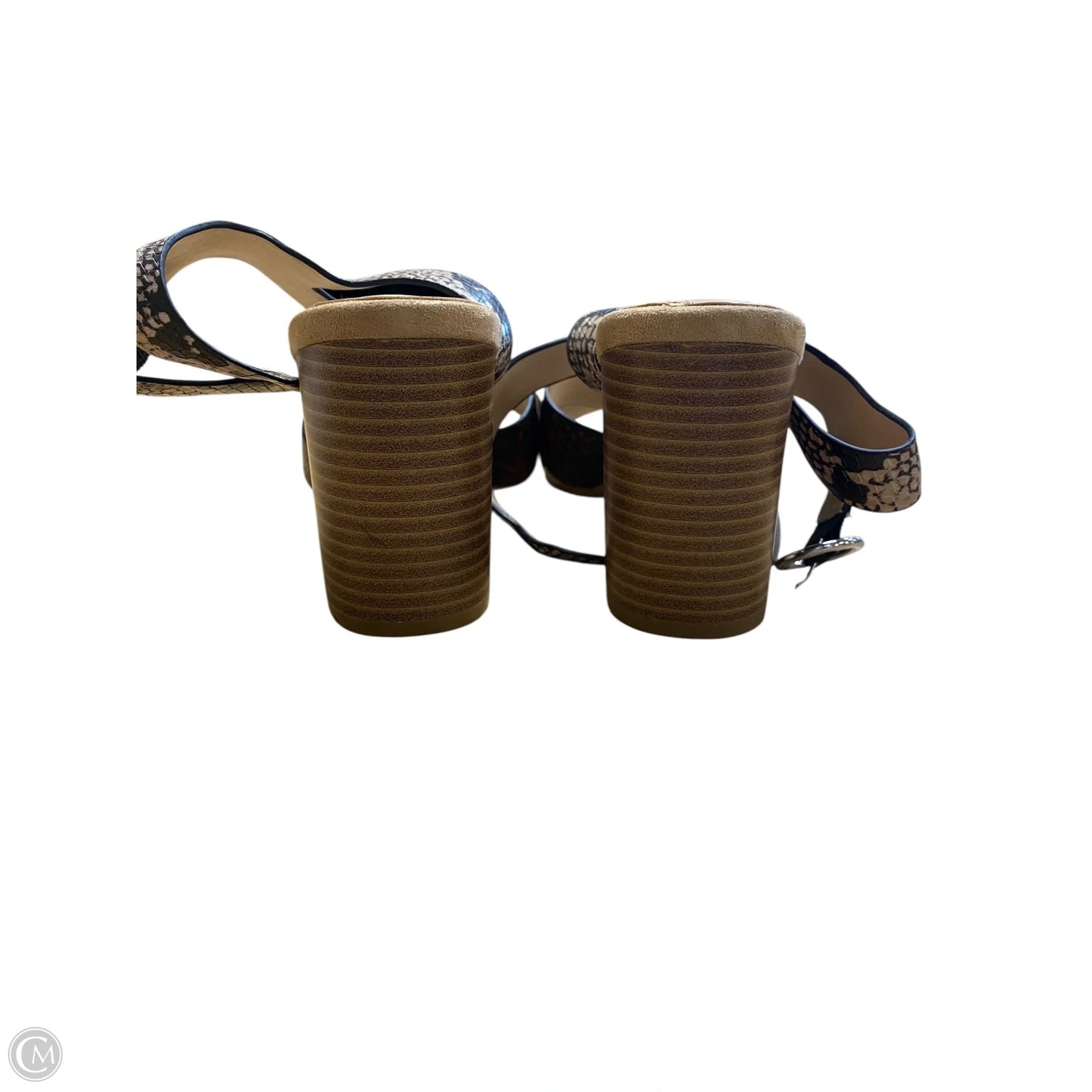 Shoes Heels Block By Alfani In Animal Print, Size: 7