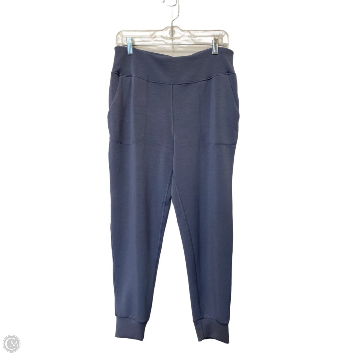 Athletic Leggings By Sage In Blue, Size: L