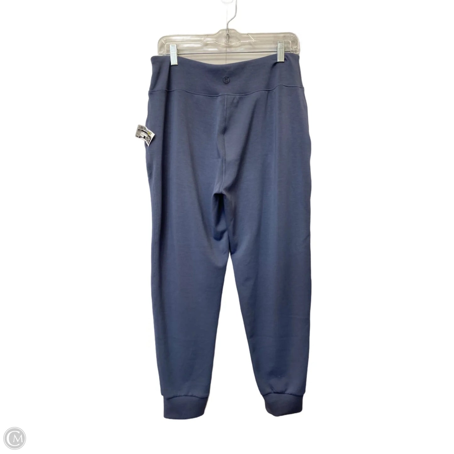 Athletic Leggings By Sage In Blue, Size: L