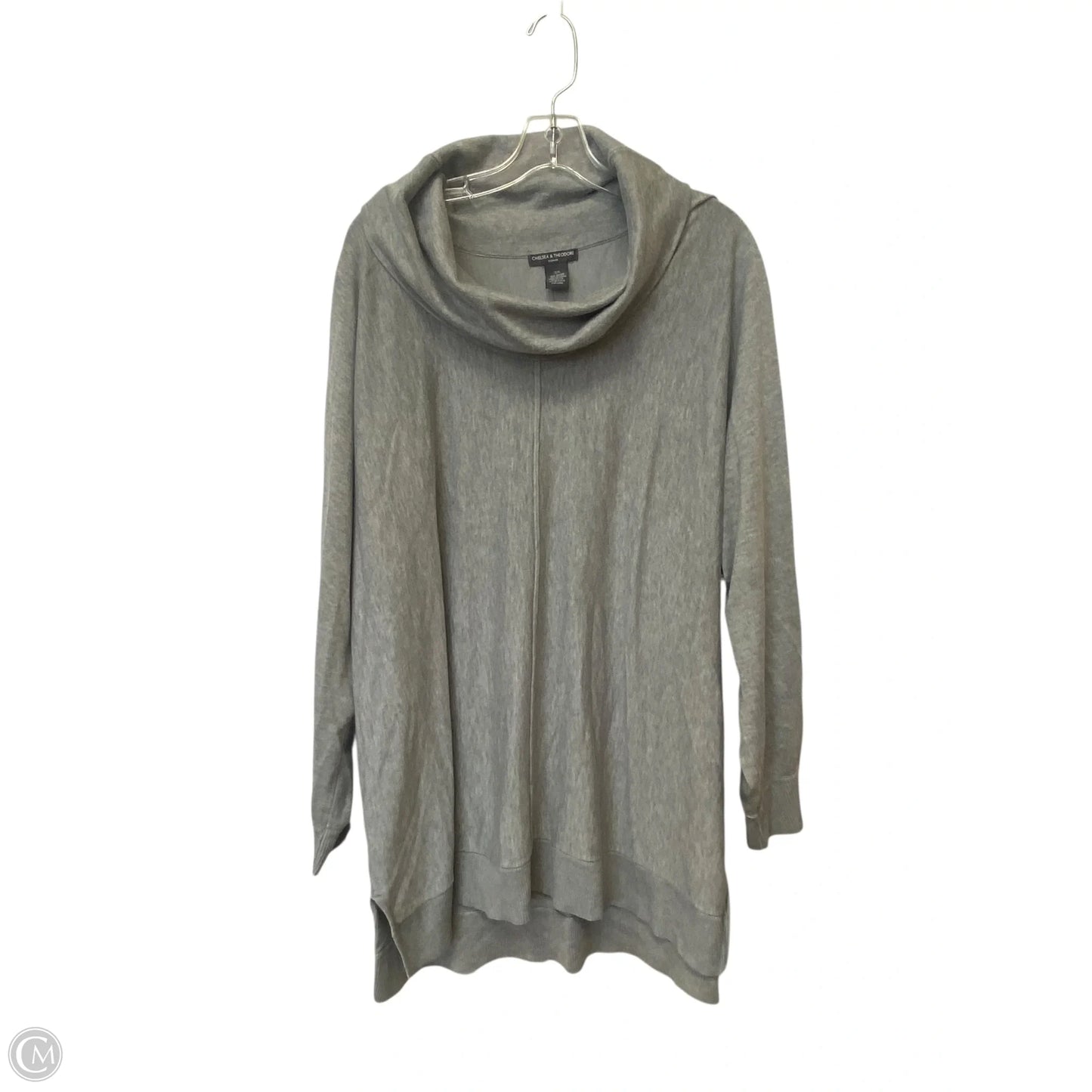Top Long Sleeve By Chelsea And Theodore In Grey, Size: 3x