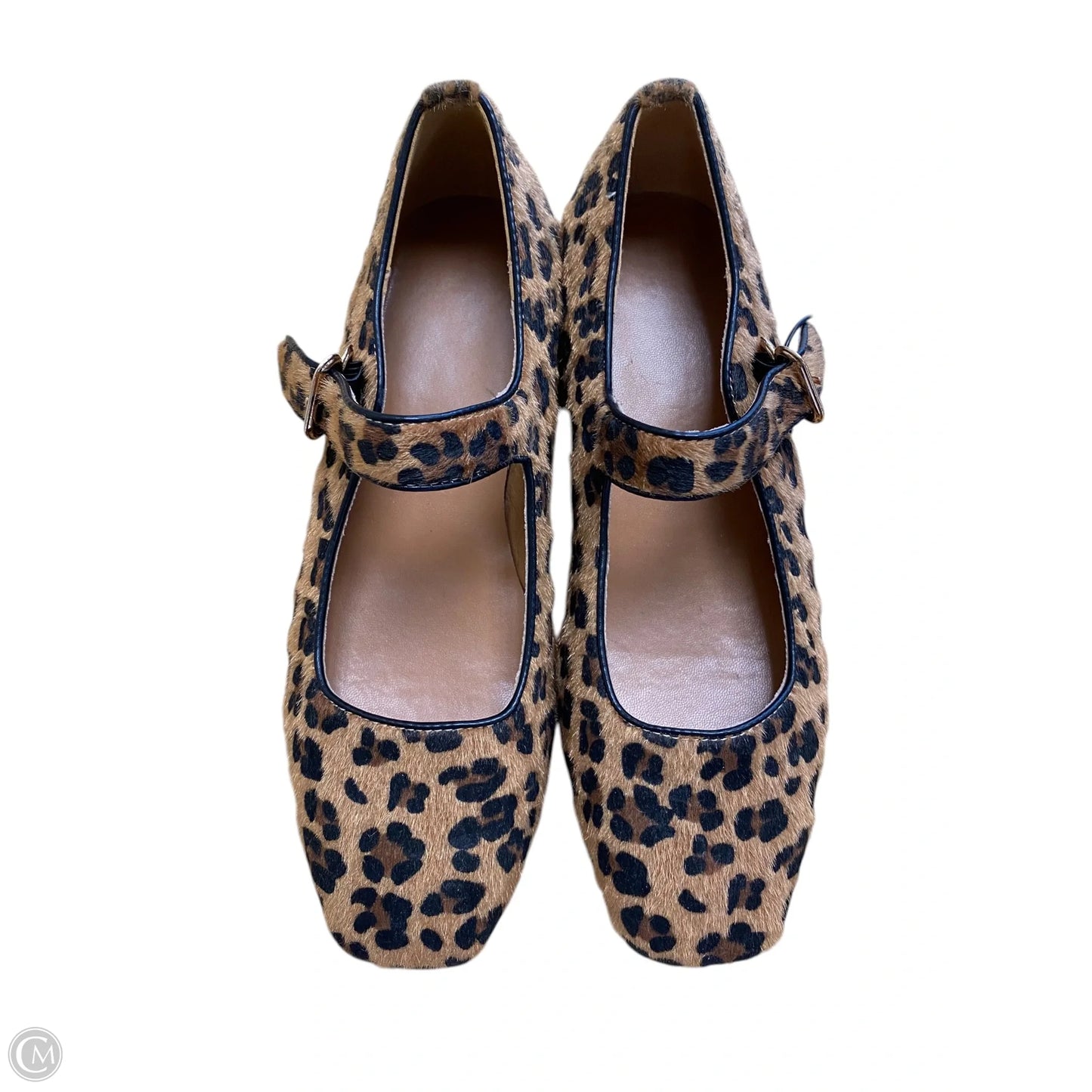 Shoes Flats By Clothes Mentor In Animal Print, Size: 8