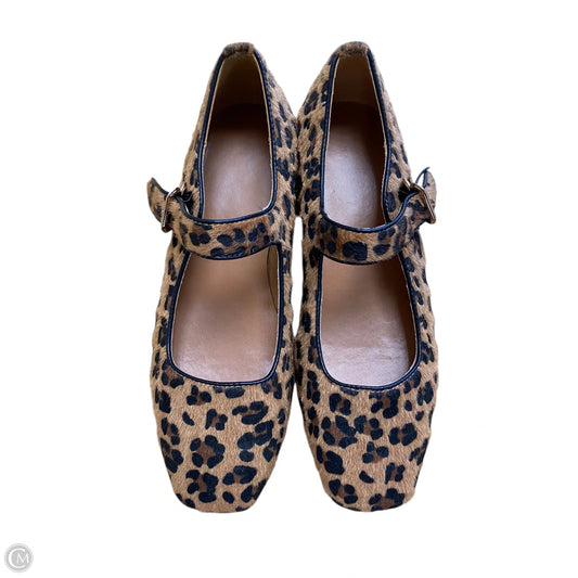 Shoes Flats By Clothes Mentor In Animal Print, Size: 8
