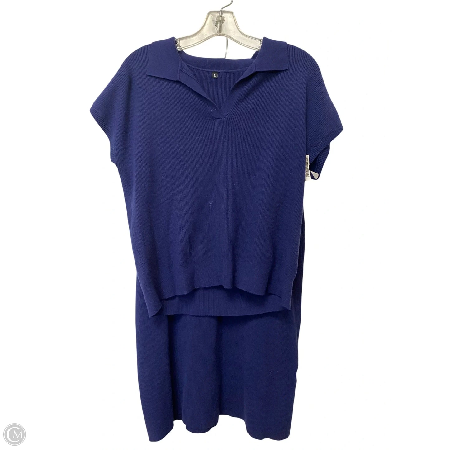 Skirt Set 2pc By Clothes Mentor In Blue, Size: L