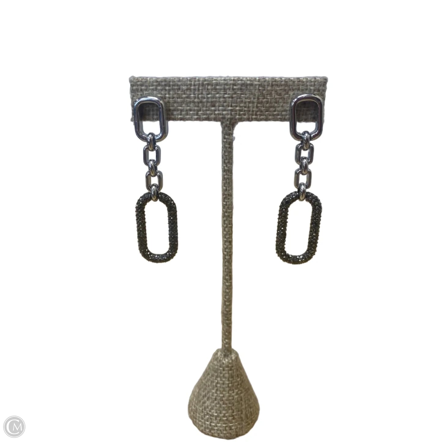 Earrings Dangle/drop By Chicos