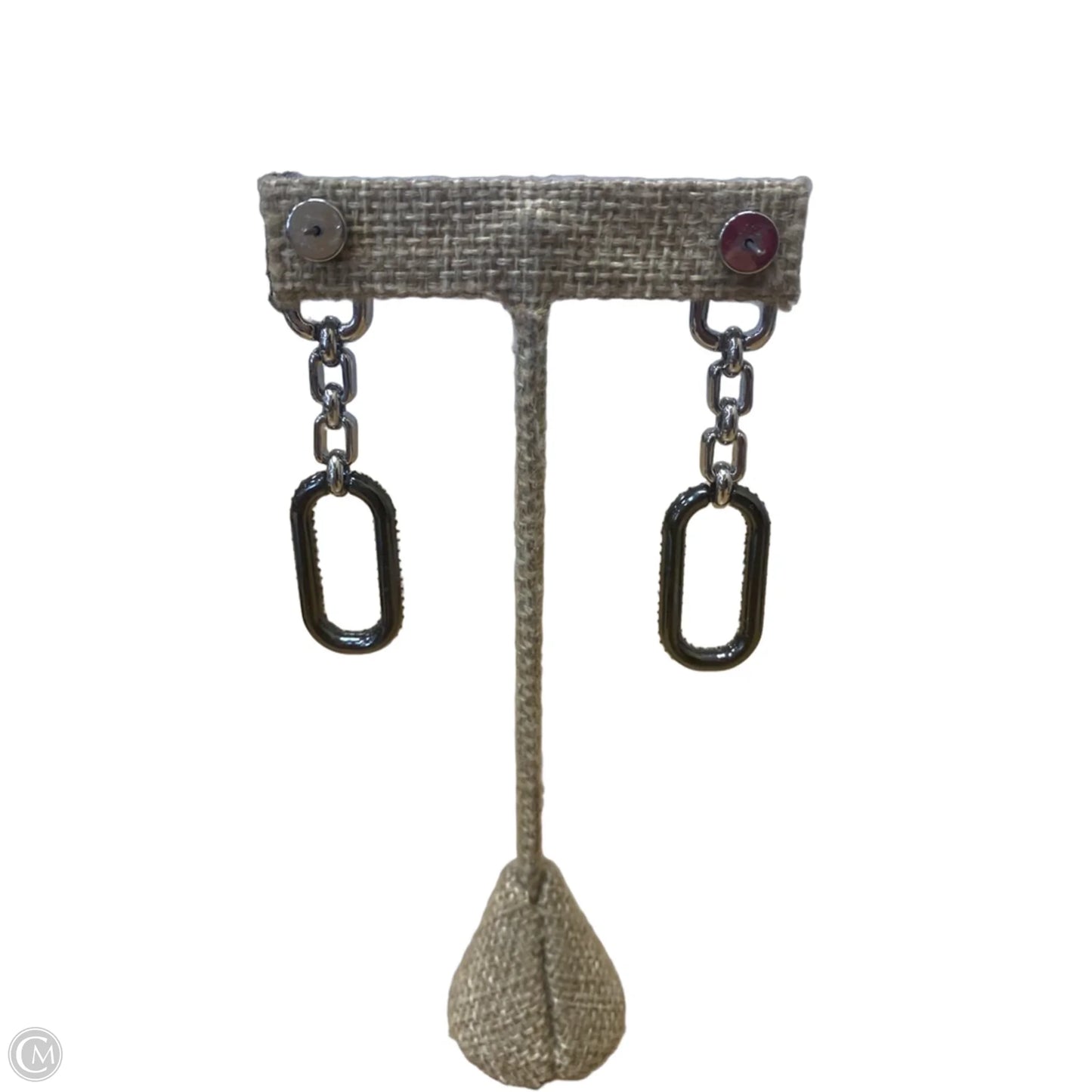 Earrings Dangle/drop By Chicos